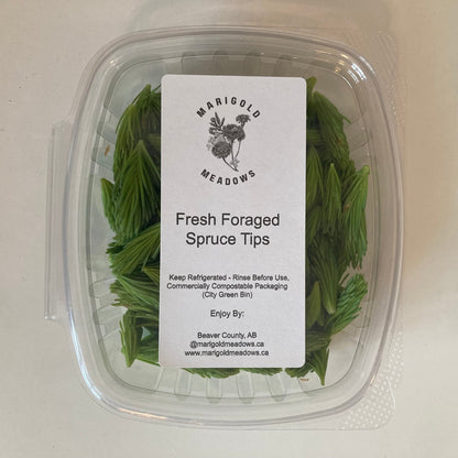 Wild Forage - Spruce Tips