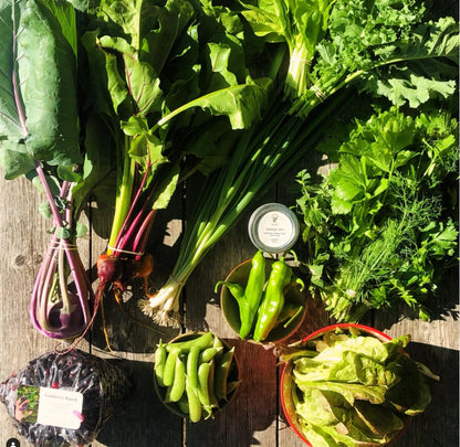 CSA Subscription-Sign Up Starts January 2026