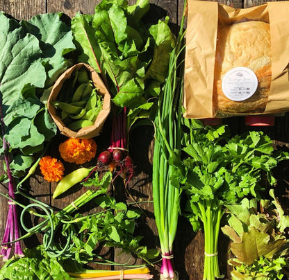 CSA Subscription-Sign Up Starts January 2026