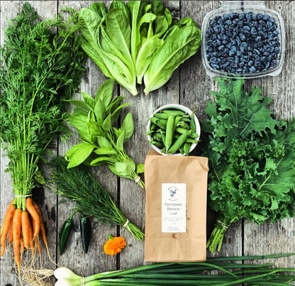 CSA Subscription-Sign Up Starts January 2026